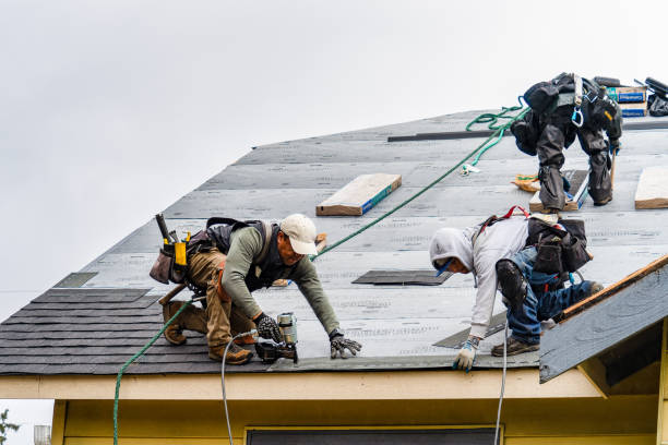 Professional Gutter Installation technician working in Clyo, GA